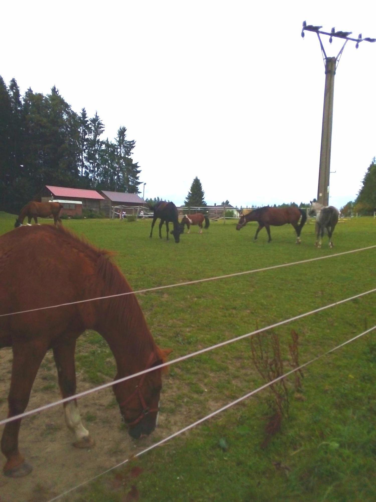 Apartman U Lipna, Pro Cyklisty, Motorkare Frymburk nad Vltavou Exterior foto